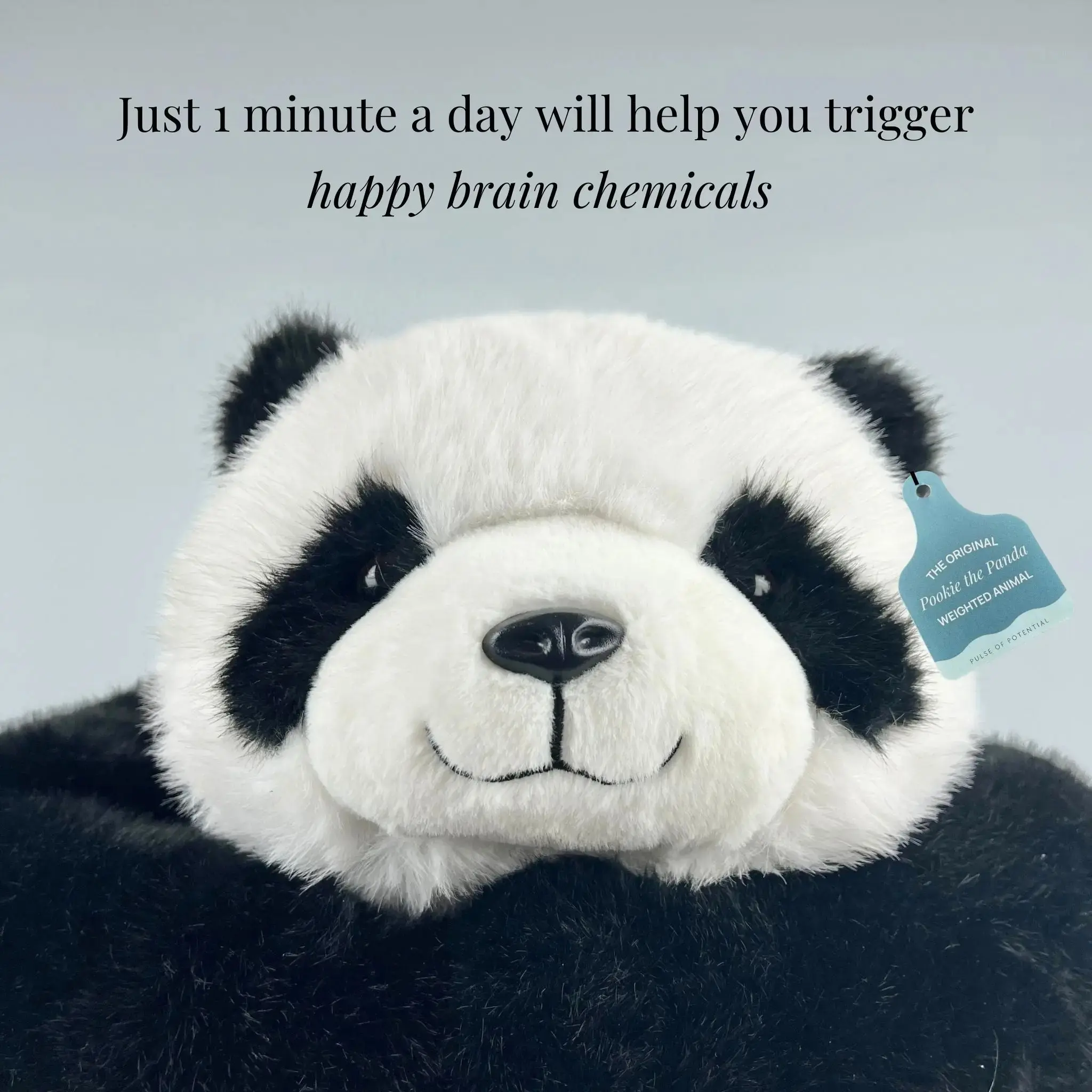 Pookie the Panda Weighted Animal - Image 6