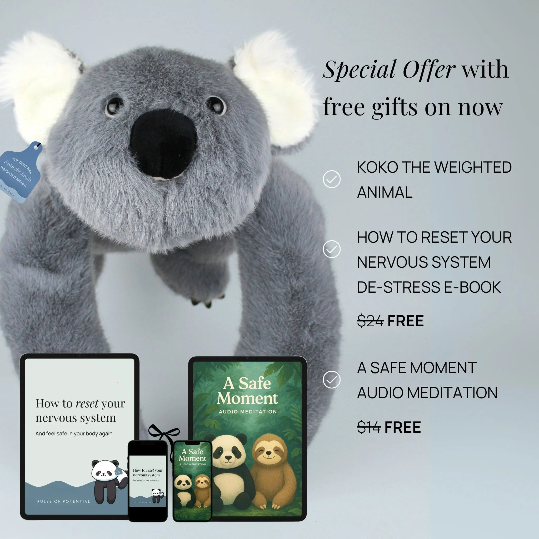 Koko the Koala Weighted Animal - Image 9